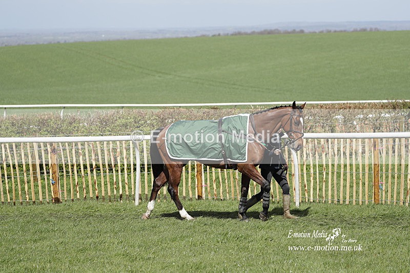 PtP 100423 460 - Old Berkshire Point-to-Point Lockinge 10/04/23