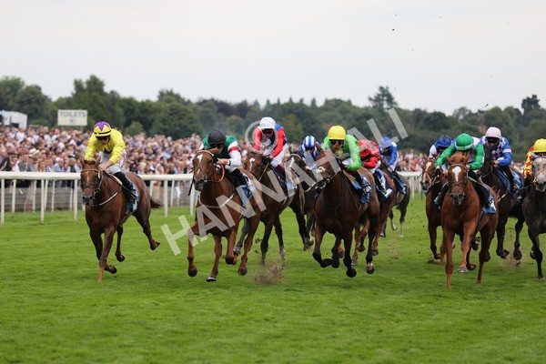 yr20082021r6-20 - Race 6 4.40pm Assured Data Protection British EBF Fillies' Stakes