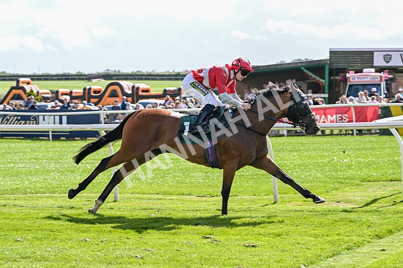 050825-Race 3-Sophar Sogood-5797 - Race 3