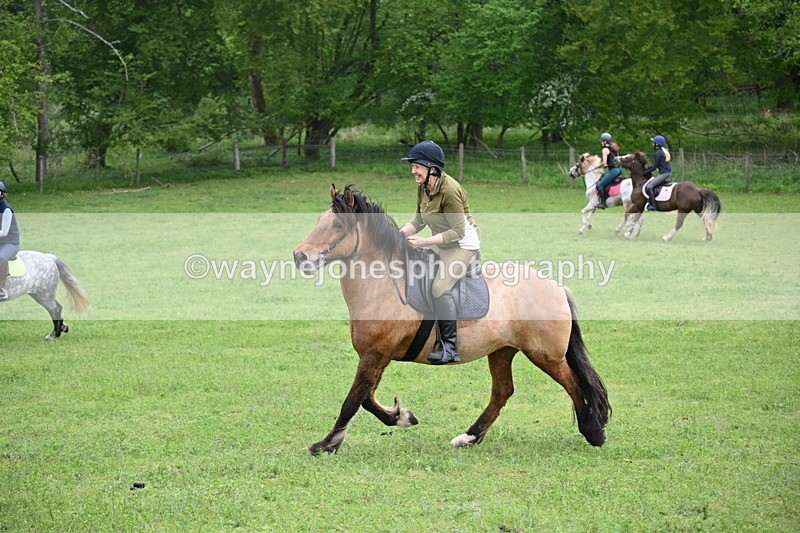 WJ6_3353 - A camera