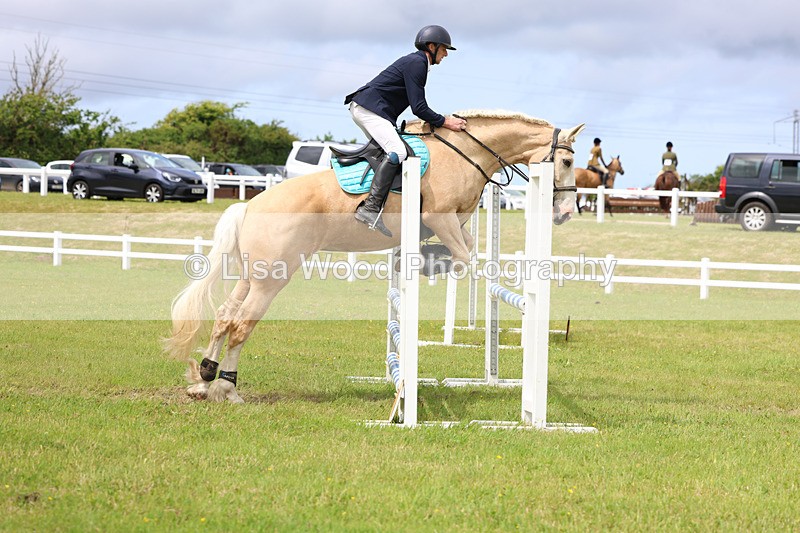 3E7A7716 - Class 13: Senior British Novice/90cm open