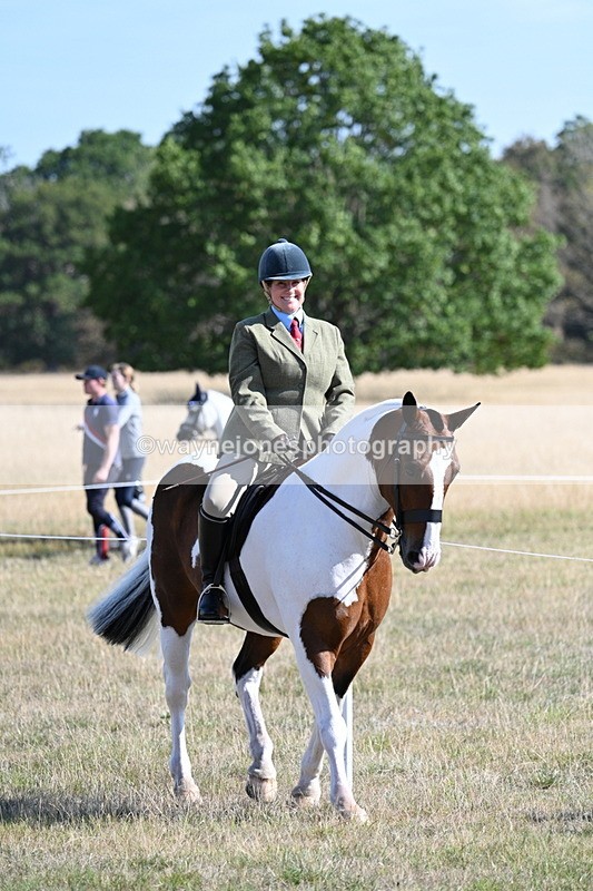 WJ7_3062 - Class 8 Ridden Tack & Turnout
