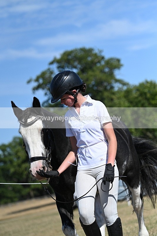 WJ7_1811 - Class 43 Best Six Legs (In hand)