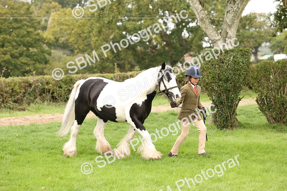 SBM_59243 - S57 - Traditional Cob In Hand