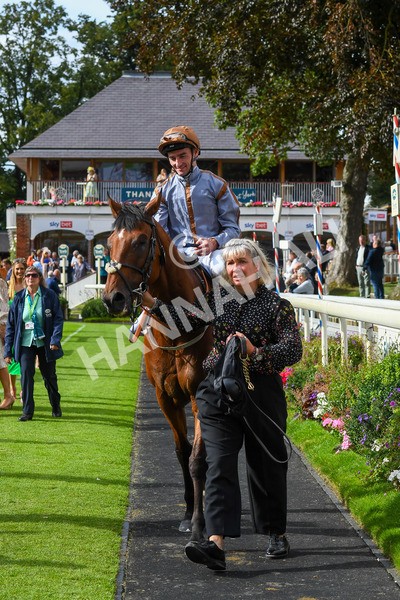 260823-Race 5-Summerghand-0815 - Race 5 Sky Bet Constantine Handicap