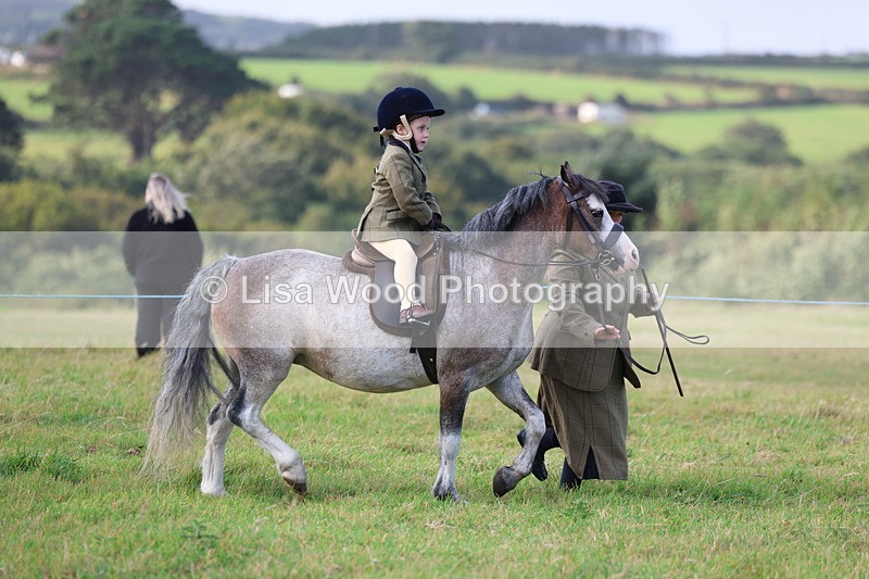 3E7A3372 - Class 2: Lead rein