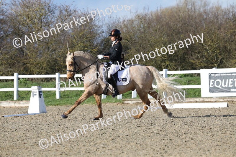 20260314-5817 - DR 7 - Elementary 1