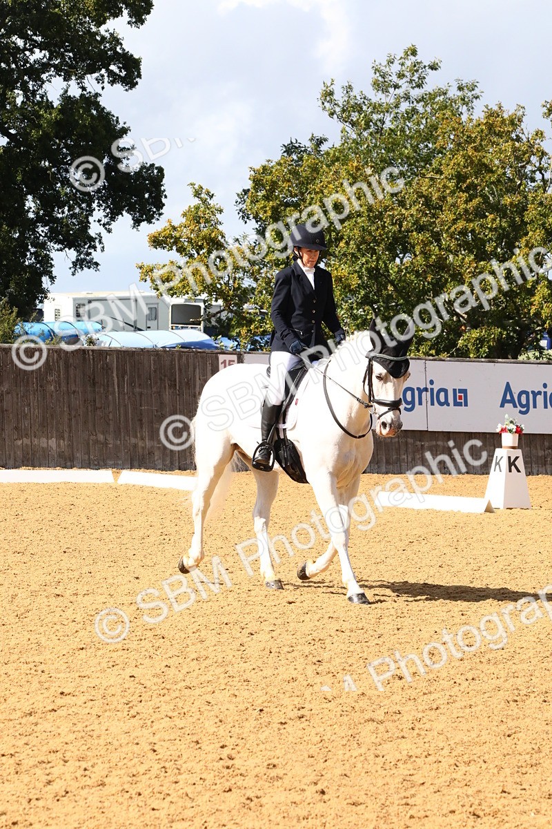 SBM_23478 - D5 - Small Tour Championshop Intro 2