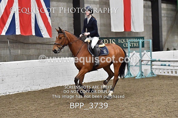 BPP_3739 - FRI CLASS 21 BR NOVICE/90CM