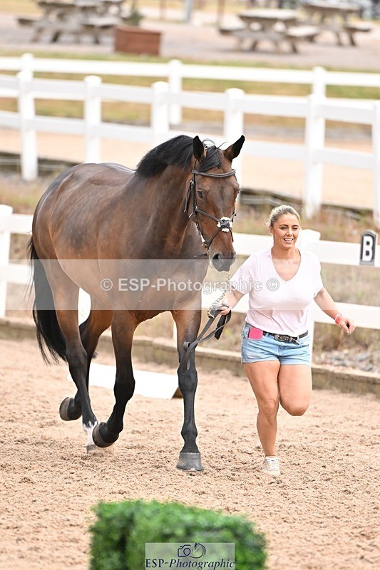 250716-143938-01272 - Trot Up 2.30 to 3.30