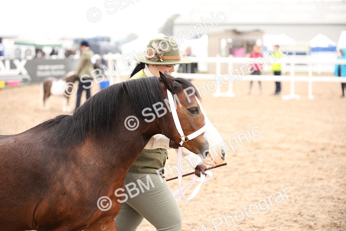 SBM_19293 - Class 701 - Best Turned Out IH & Ridden
