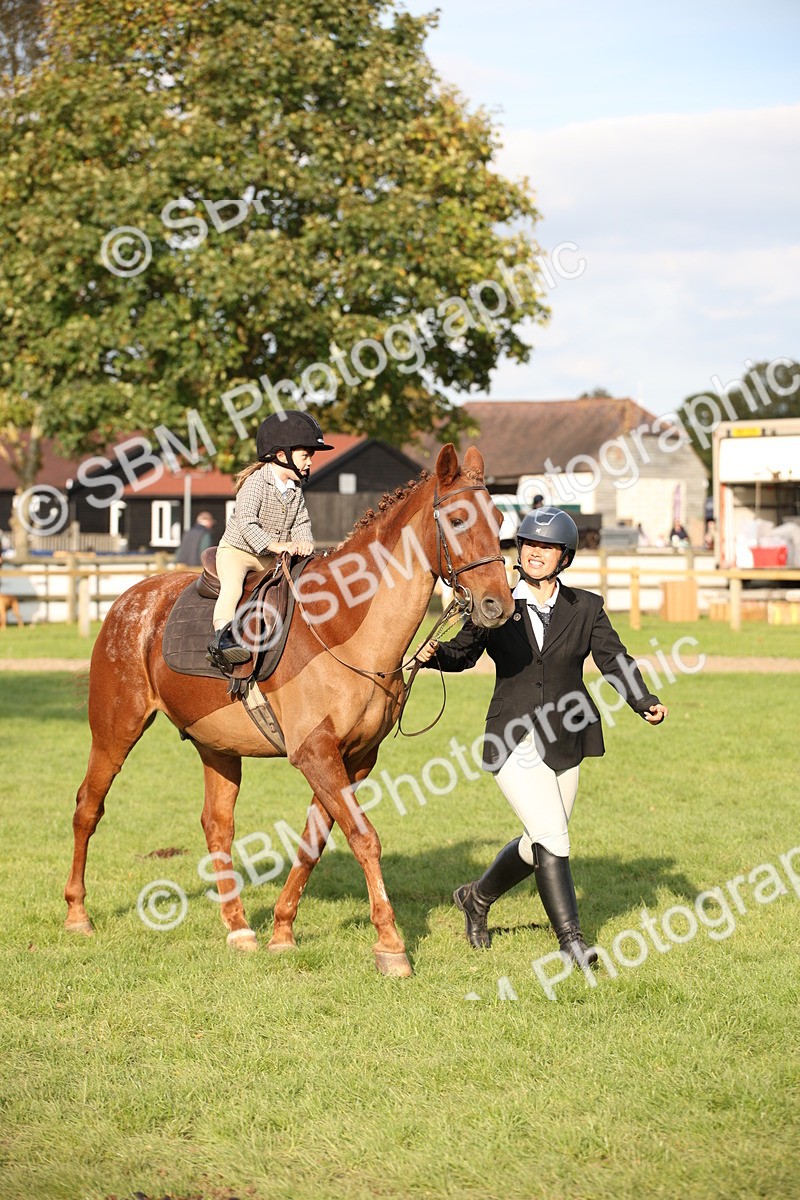 SBM_54290 - S27 - Mature Veteran - Ridden