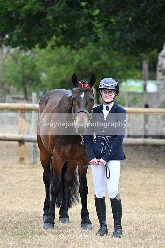WJ7_0020 - Class 5a Most Handsome Gelding (above 14.2hh)