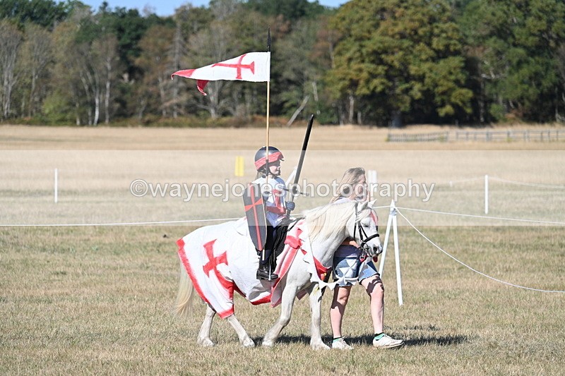 WJ7_2787 - Class 45 Fancy Dress (My Fav)