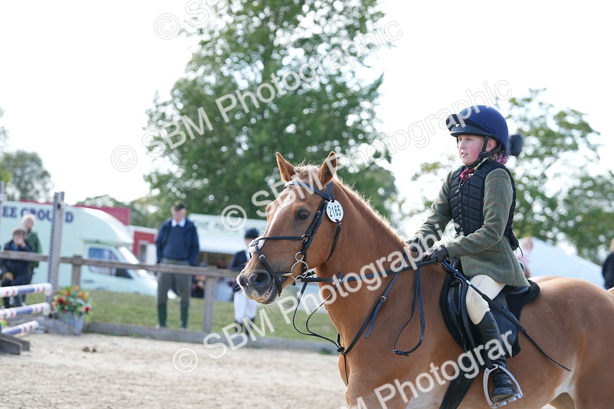 SBM_48465 - J7 - Junior Pony 60cm Championship