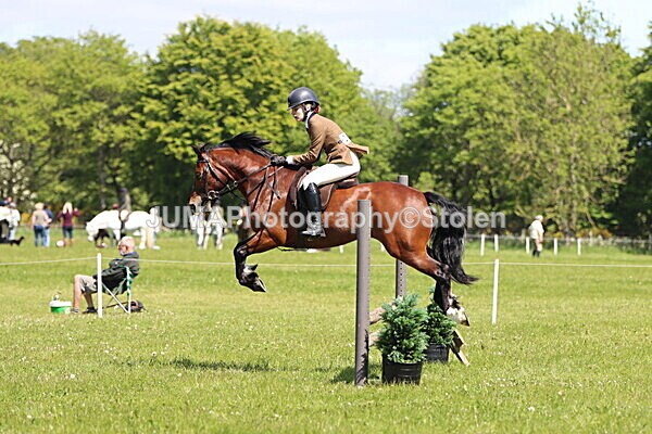 IMG_3737 - Working Hunter
