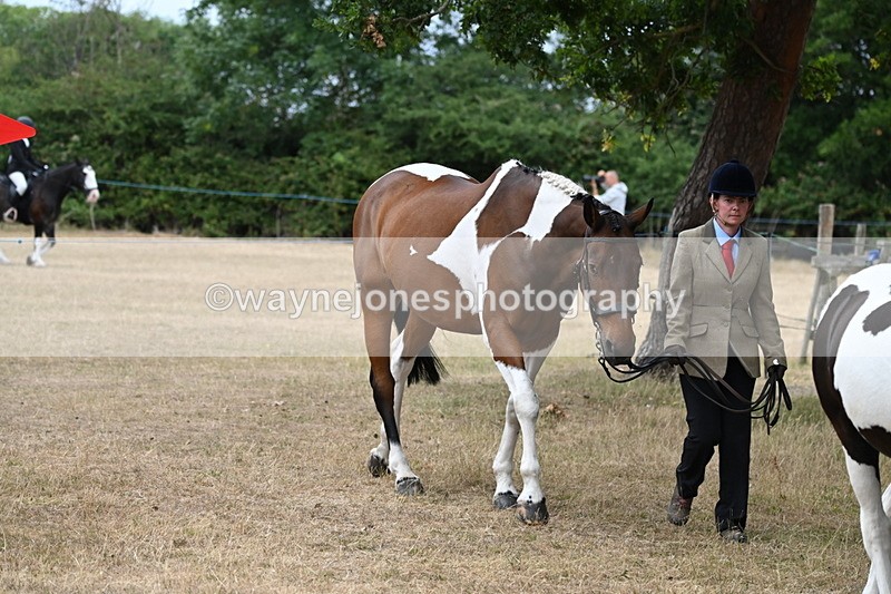 WJ6_7940 - Class 10 Coloured in Hand