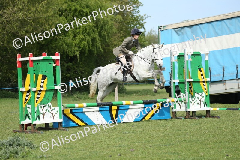 20260426-1631 - Class 14 - Novice 60cm