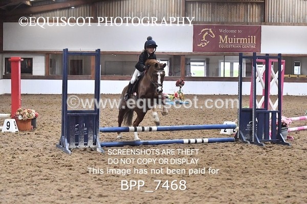 BPP_7468 - 40CM WORKING HUNTER