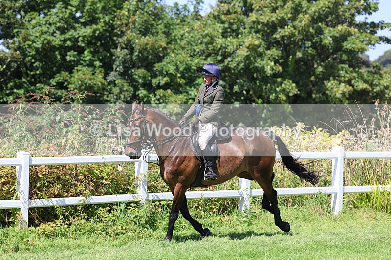 3E7A9211 - Working Hunter Championship