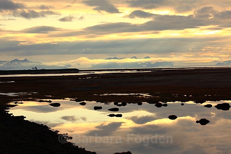 Adventdalen 3013 - Autumn