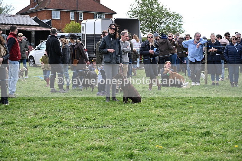 WJ6_8576 - Class 6 Best Rescue