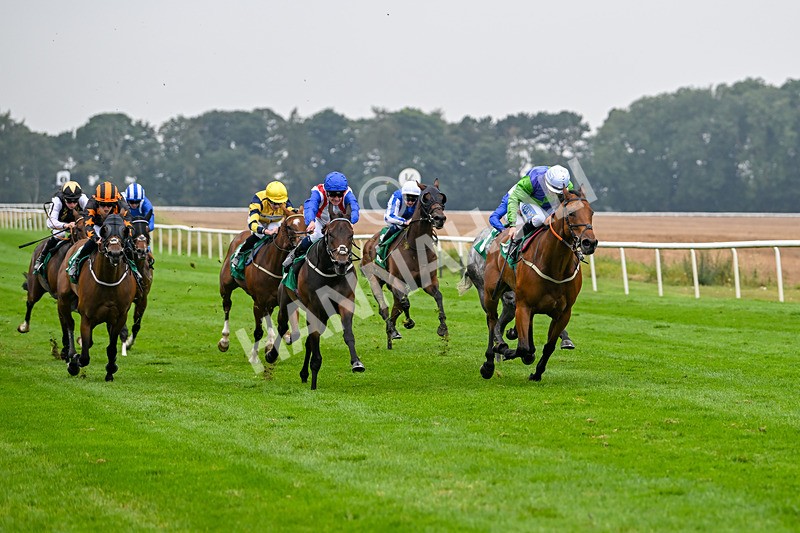 070924-Race 4-Kings Merchant-7541 - Race 4