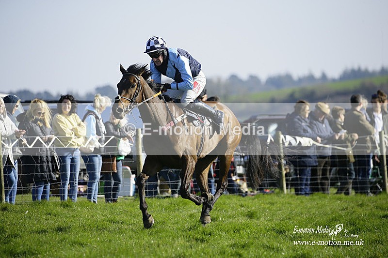 PtP 190322 759 - Wilton Hunt PtP Milborne St Andrew 19/03/22