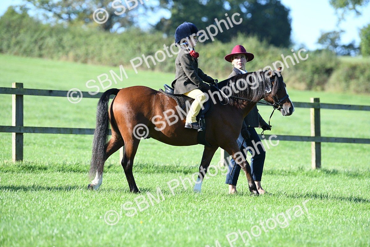 SBM_35286 - S17 - Condition & Turnout - Lead Rein