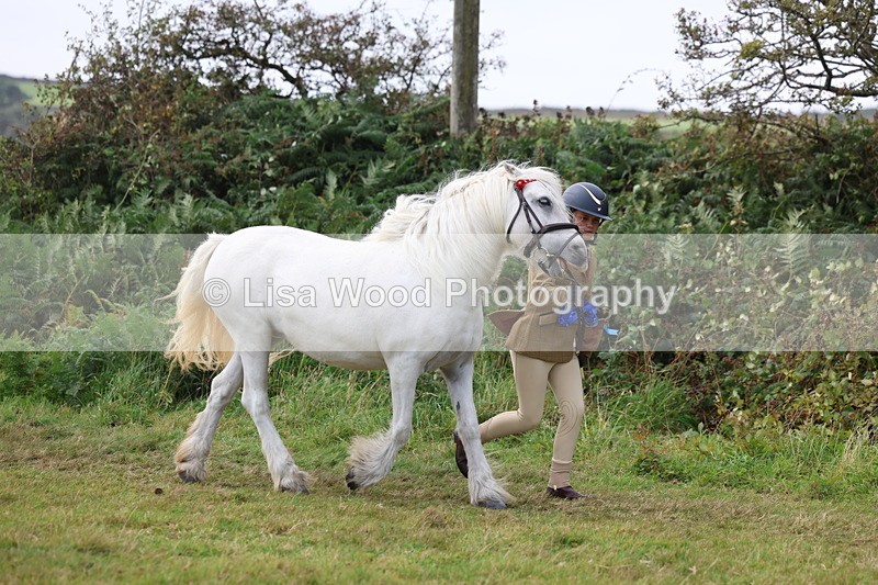 3E7A5627 - In Hand Championship