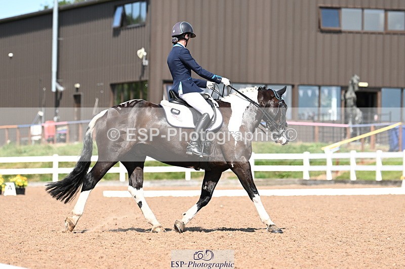 240816A-141956-05558 - 275-Alys.Matravers-Tiger.Mazariti