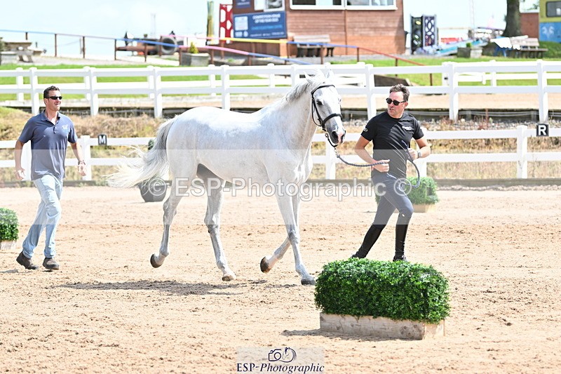 240717A-145410-02381 - Trot Up 2pm to 3pm - This folder is not in time order