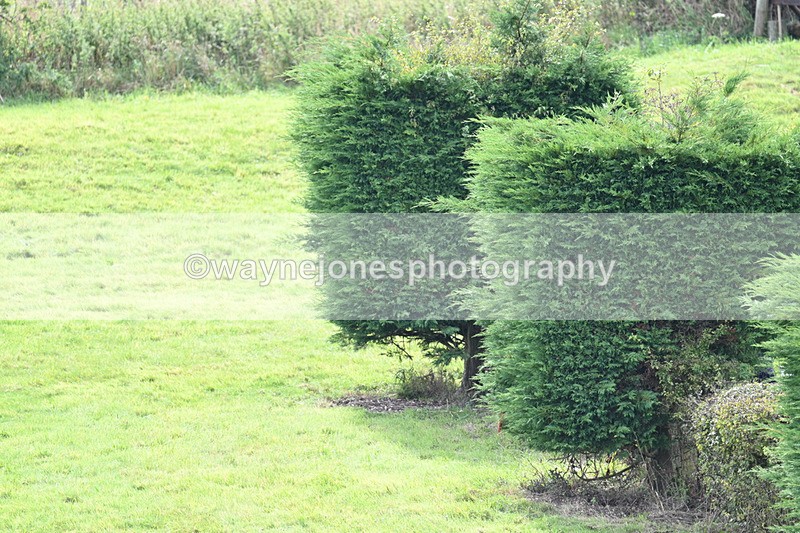 WJ7_7635 - Time 13:30 to 13:48