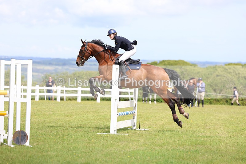 3E7A7537 - Class 13: Senior British Novice/90cm open