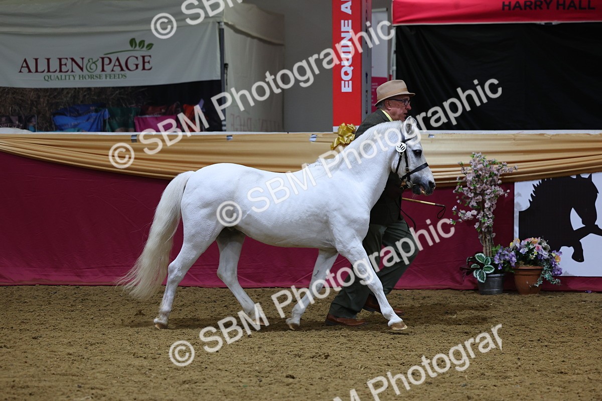 SBM_19381 - Class 901 - Supreme Final - IH Diamond