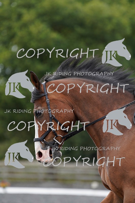 _DSC1841 - NOVICE 2