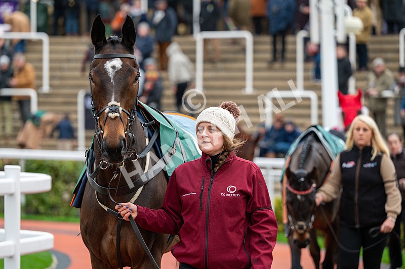 161125-Race 4-Beauport-1603 - Race 4