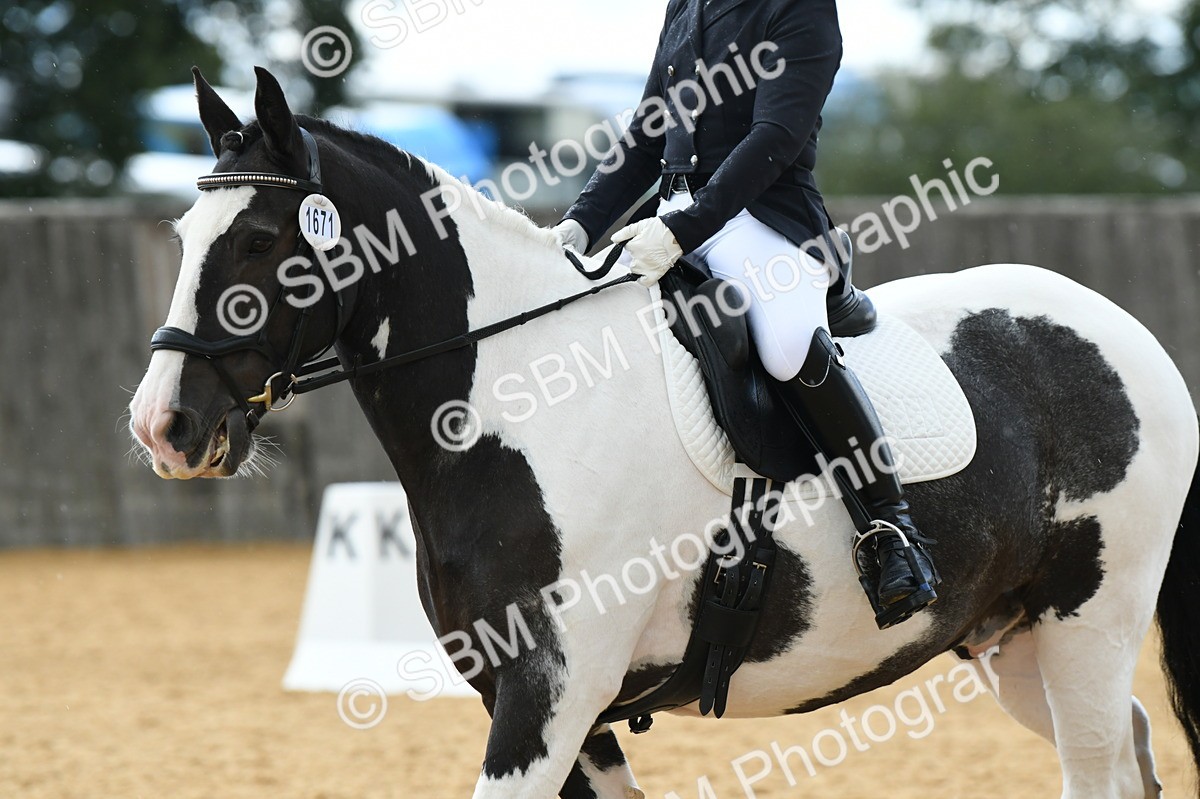 SBM_07315 - D15 Small Tour Championship Novice 24