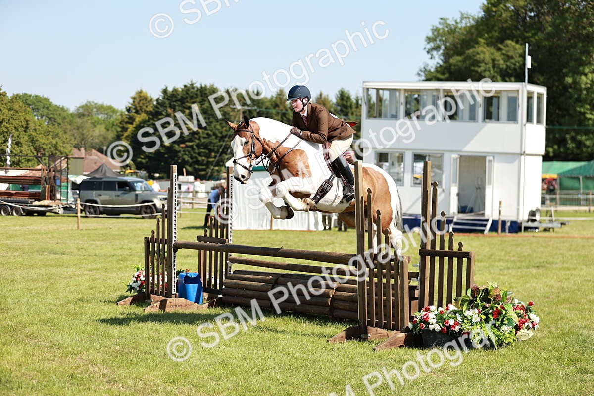 SBM_18791 - Class 114 - RIHS & SEIB Open Working Show Horse