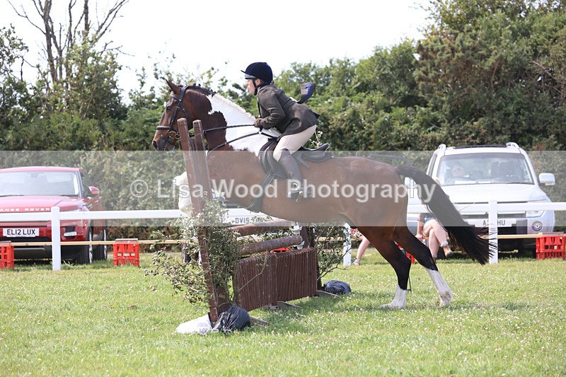 JPP_3644 - Class 23: Working Hunter 80cm