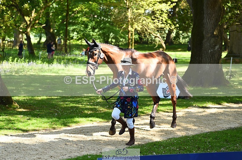 230524-152124-00222 - 324-DRUMGIVEN_MR_CHARISMA-Jeanette_Brakewell-WEDTrotUp+DR