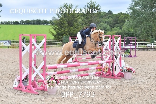 BPP_7793 - CLASS 4 Stepping Stones 128/ 138cms Handicap