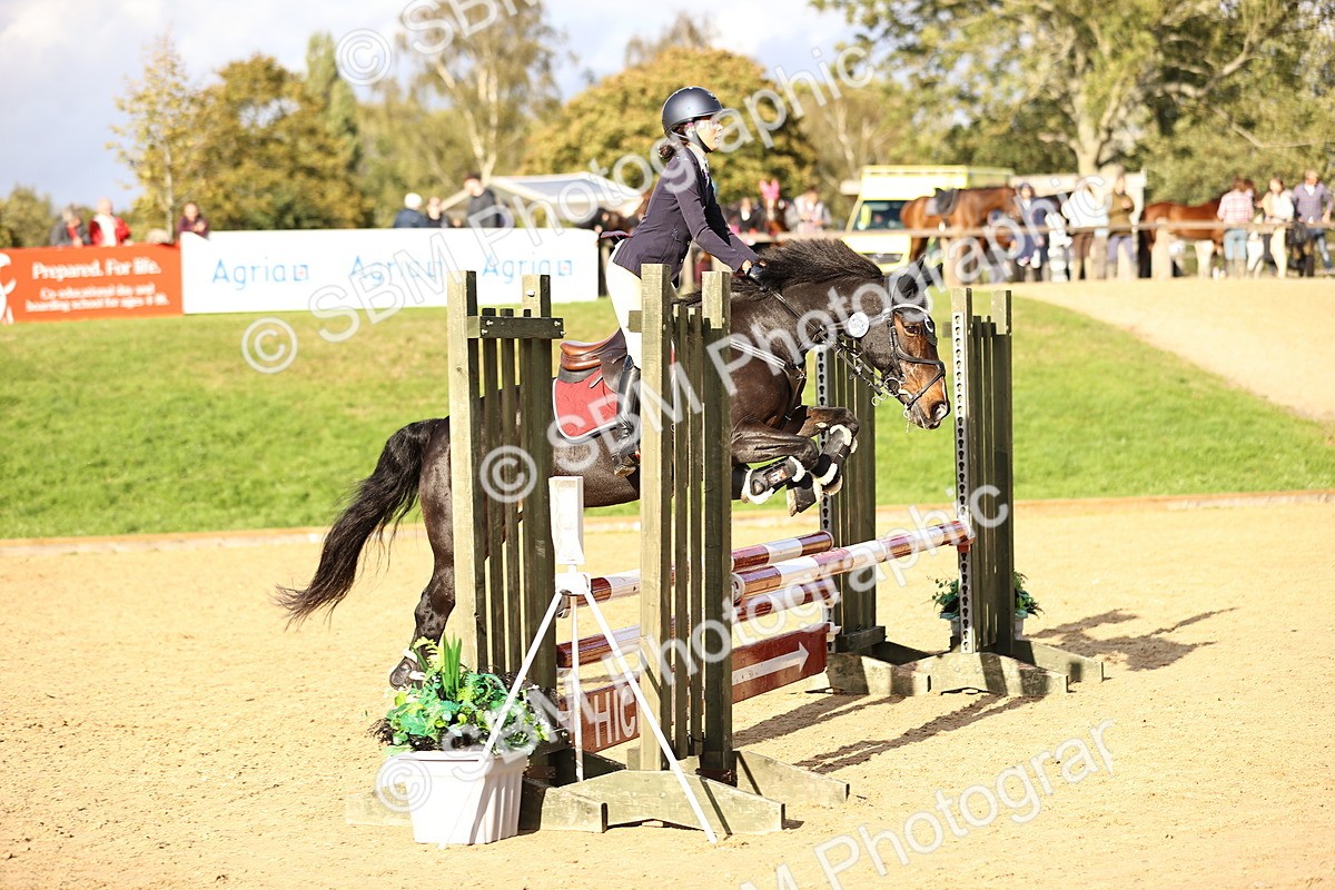 SBM_51780 - J10 - Junior Pony 75cm Championship
