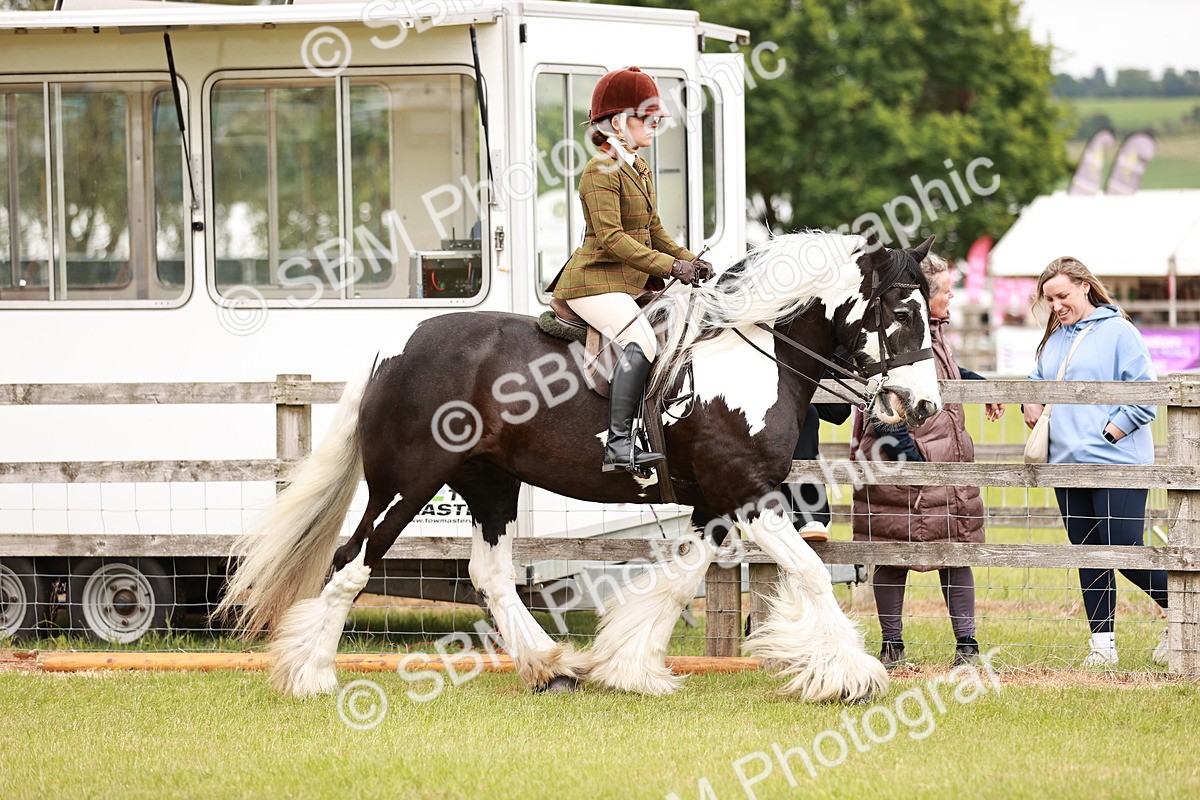 SBM_06101 - Class 39-41 TGCA In Hand and Ridden