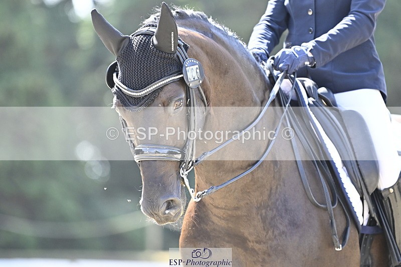 250810A-111627-05343 - 106-Lynn.WickesFurstino