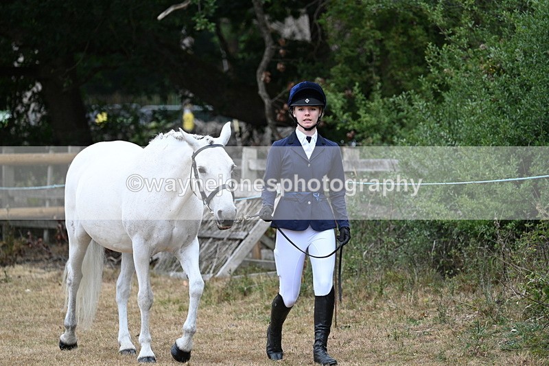WJ7_8669 - Class 4a Prettiest Mare 14.2hh and over