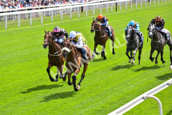 yr08072022r1 -24 - Race 1 2.05pm William Hill Best Odds Guaranteed Handicap Stakes
