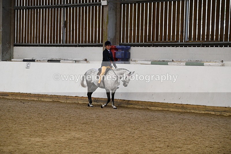 WJ5_7703 - Class 13 Ridden Part Breed