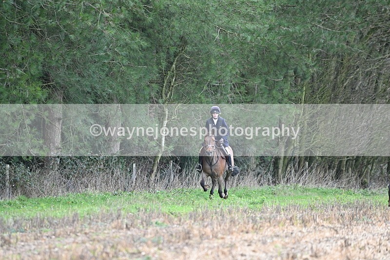 WJ6_9502 - Line Four