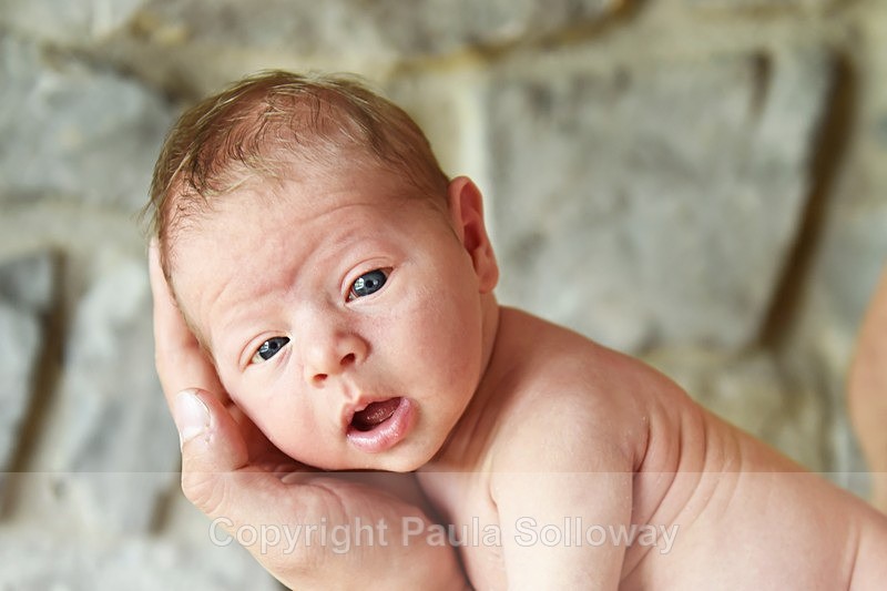 baby1 - Portrait Photography